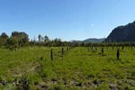 Dalyan Land For Sale