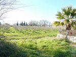 Dalyan Land For Sale Large Plot With Lots Of Options