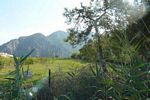 Dalyan Iztuzu Beach Road Land For Sale