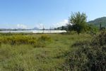 Ockular Dalyan Land