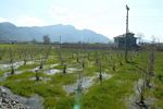 Dalyan Land For Sale Choice Of Two Plots